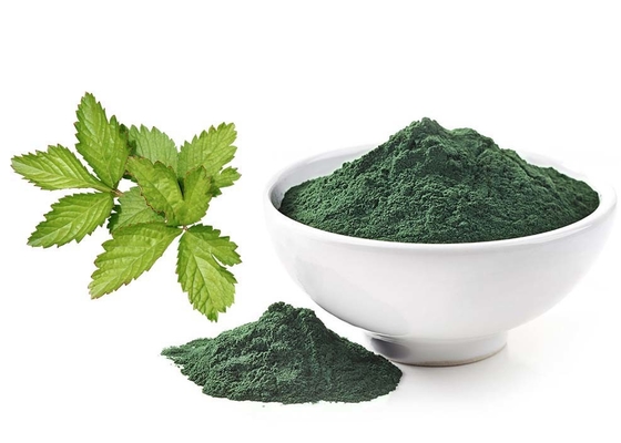 Sodium Magnesium Chlorophyllin For Foods Colorants