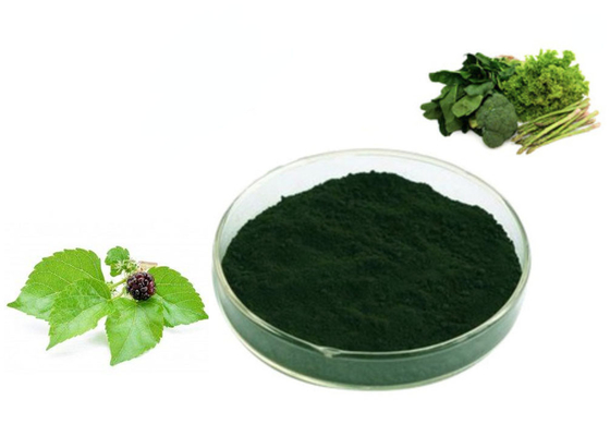 Iron Chlorophyllin Sodium Salt for Iron Supplement Foods