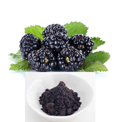 Mulberry Extract Powder With 25% Anthocyanidins Or 35% Anthocyanins