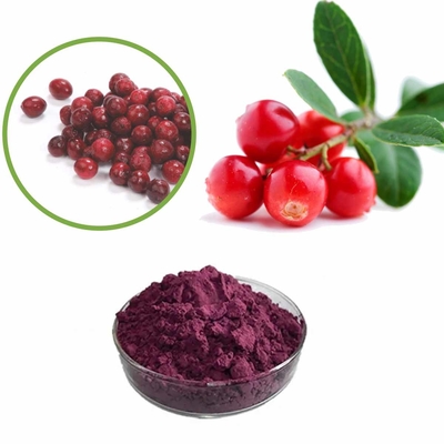 10:1 Lingonberry Fruit Extract Powder To Improve Eyesight