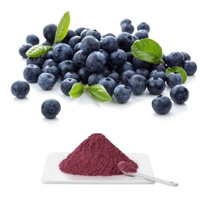 European Bilberry Fruit Extract Powder With 25% Anthocyanidins By UV