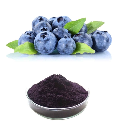 Blueberry Fruit Extract Powder With 25% Anthocyanins To Improve Eye Health