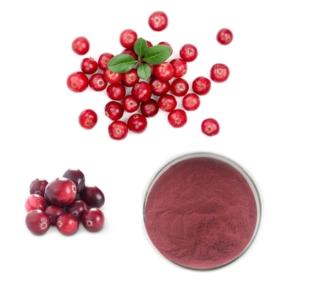 Cranberry Extract Proanthocyanidins