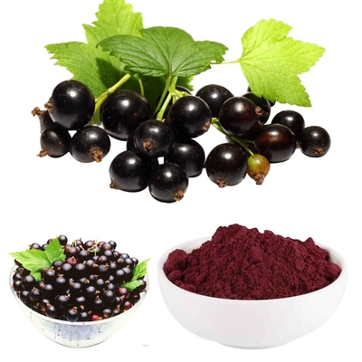 Black Currant Anthocyanidins