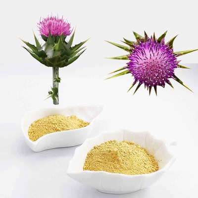 70% UV Silymarin Acetone extracted from Milk Thistle for Liver Health