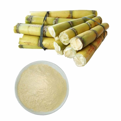 Yeast Beta 1,3/1,6 D Glucan Powder 70%-80% Purity