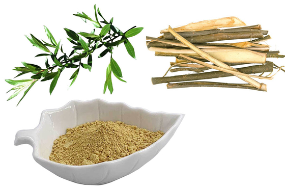 White Willow Bark Extract standardized to 25% Salicin