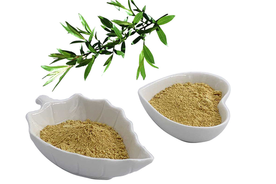 White Willow Bark Extract standardized to 25% Salicin