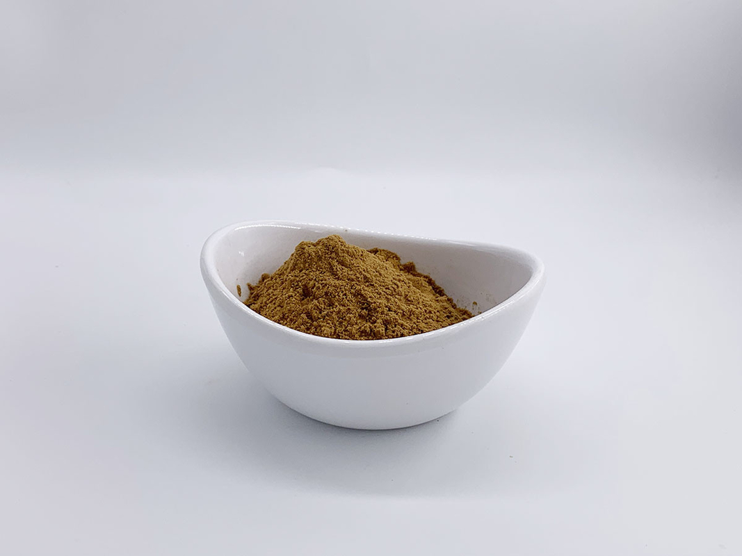 Maitake Grifola Frondosa Extract