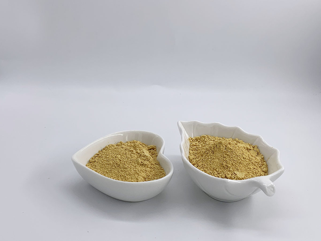 Silymarin Milk Thistle Extracted by Acetone with 50%-80% assay of Silymarin by UV