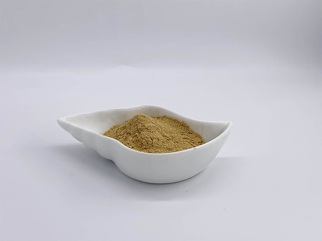 Epimedium Breviconum Extract 10%