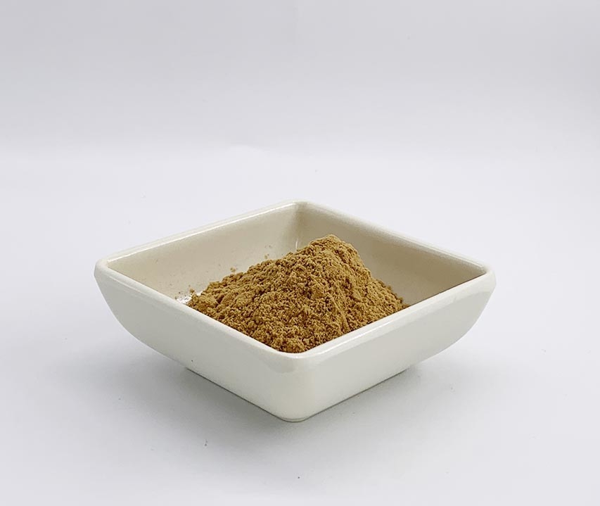 Salvia miltiorrhiza Extract Powder with 7% Salvianolic acid B for Foods Supplements