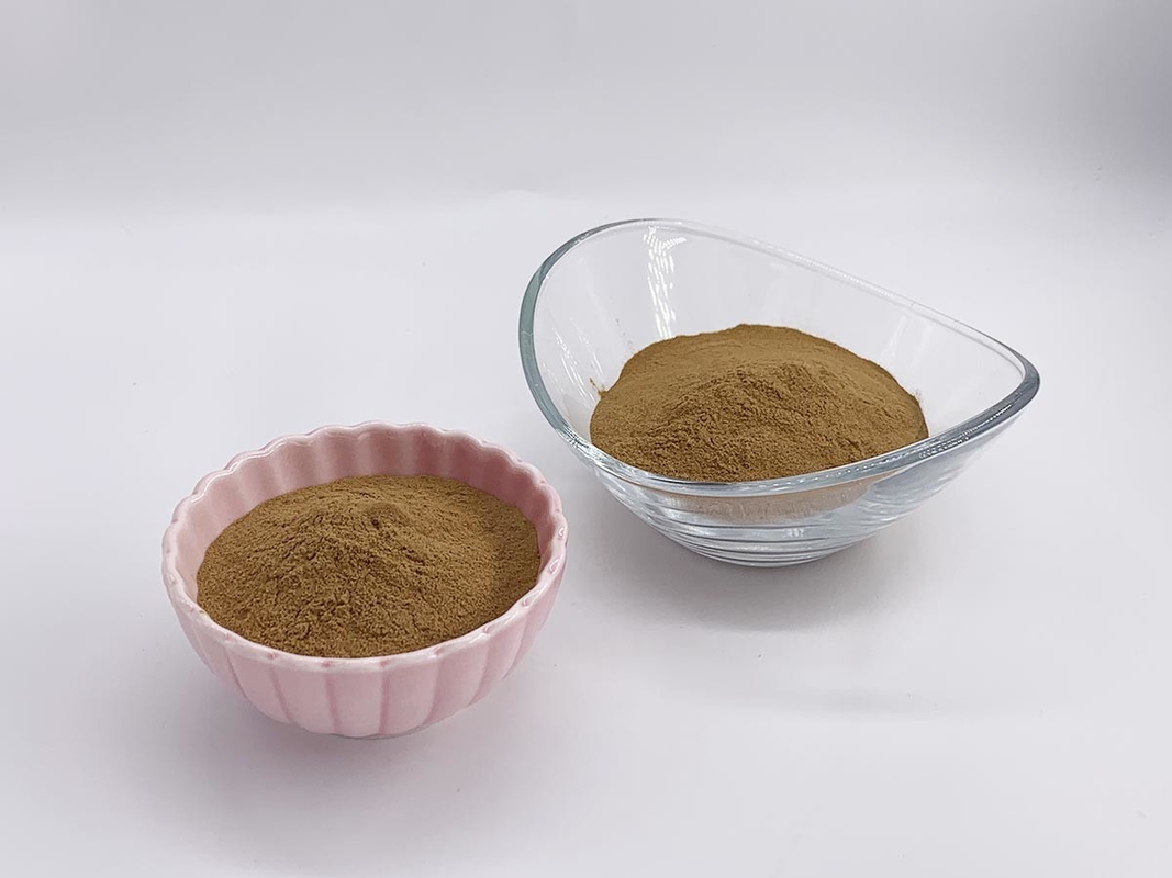 Salvia miltiorrhiza Extract Powder with 7% Salvianolic acid B and 0.3% Tanshinone II A