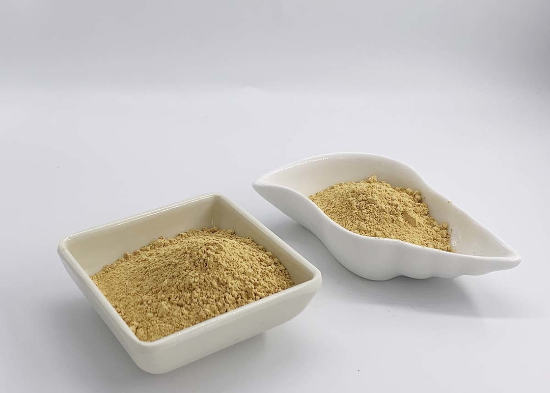 Silymarin extract Powder UV 80%