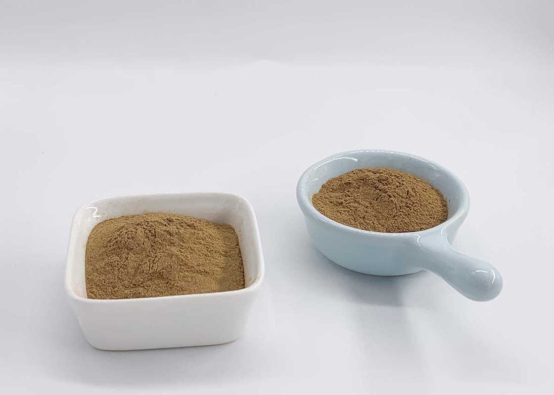 100% Natural Indentification Pass Real Ginkgo Biloba Extract Powder