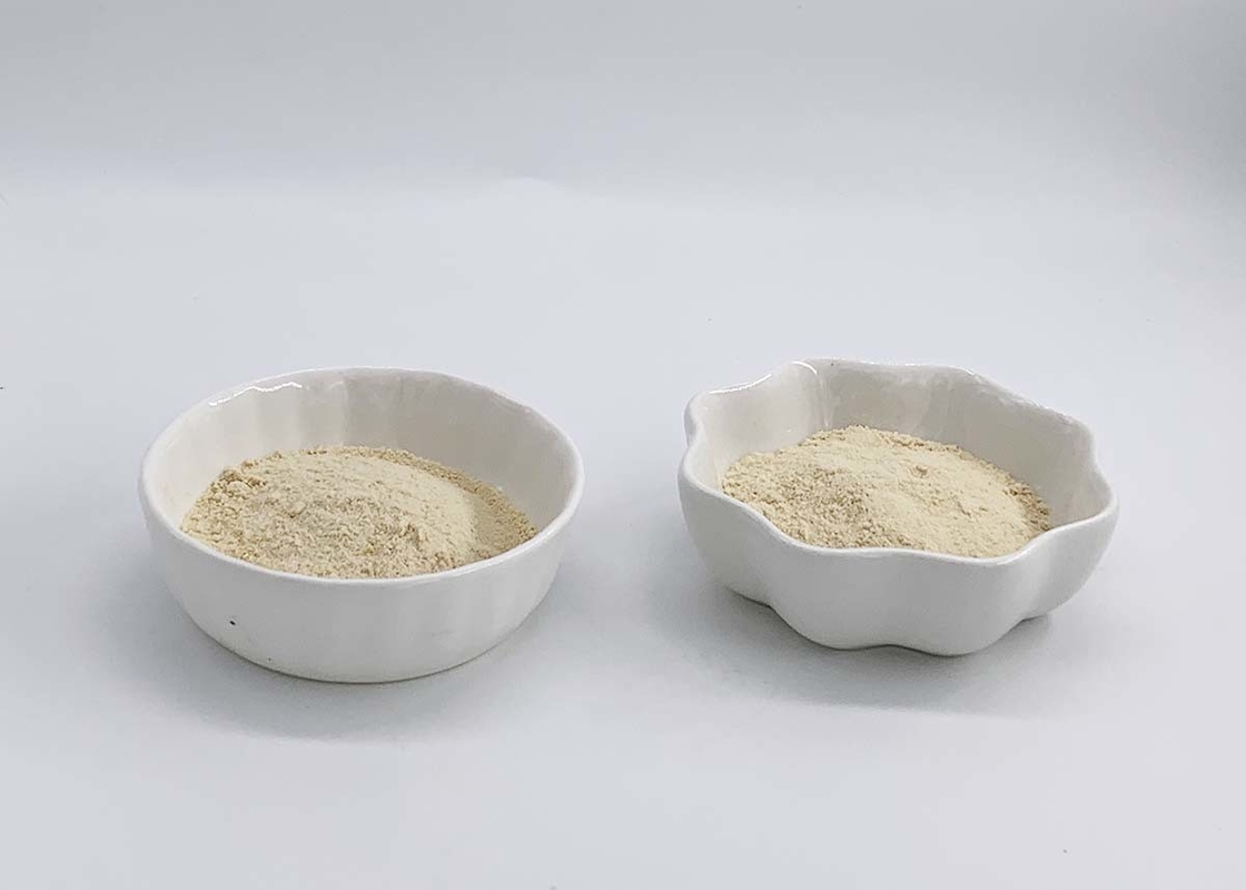 Soyabean Extact Powder Phosphatidylserine PS for Brain Function