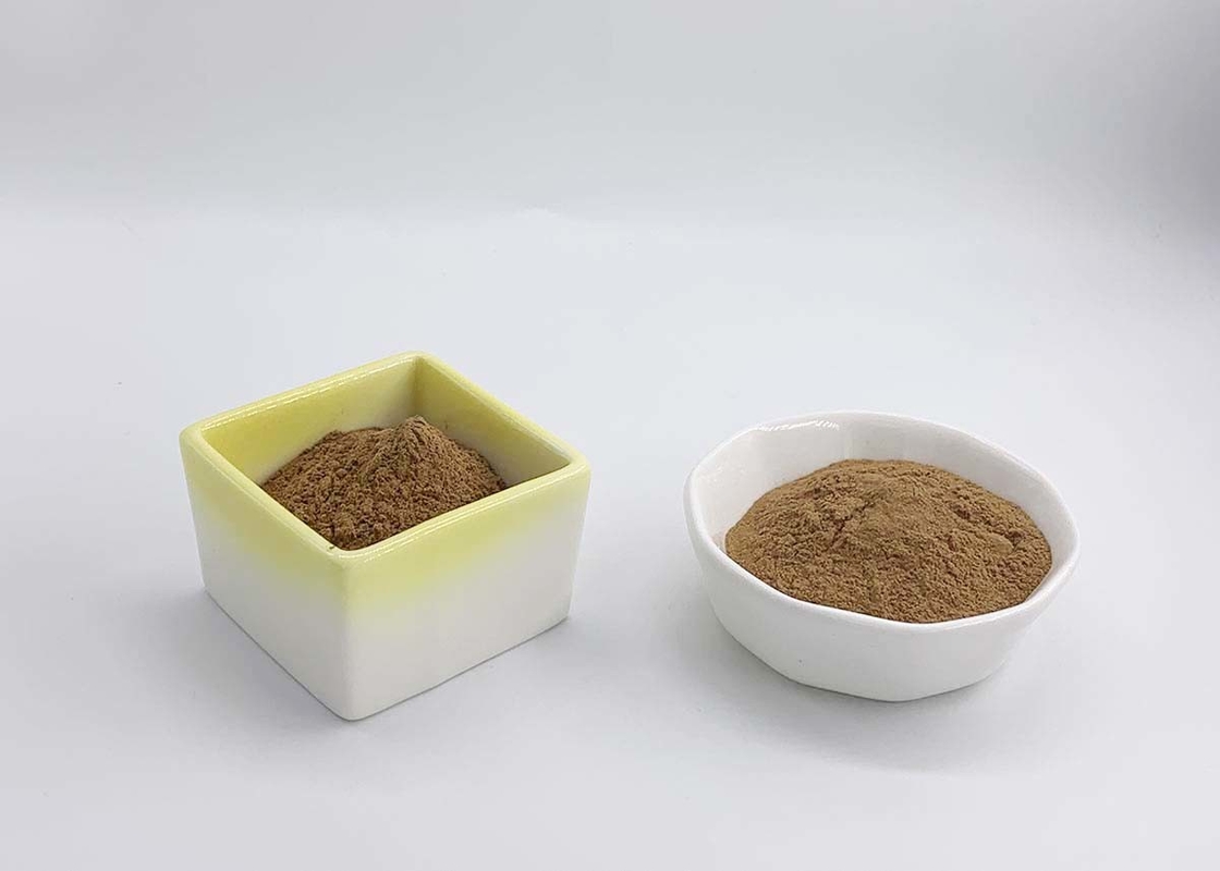 EP Standard Water Soluble Ginkgo Biloba Extract Total Flavones 24%