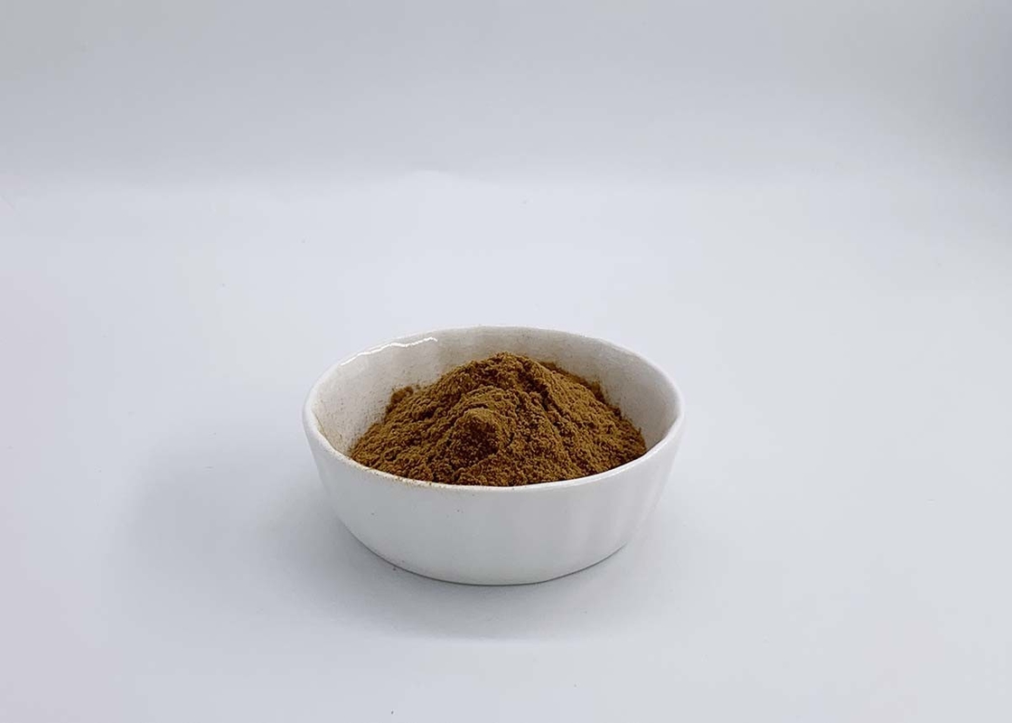Reishi Ganoderma Lucidum Polysaccharides