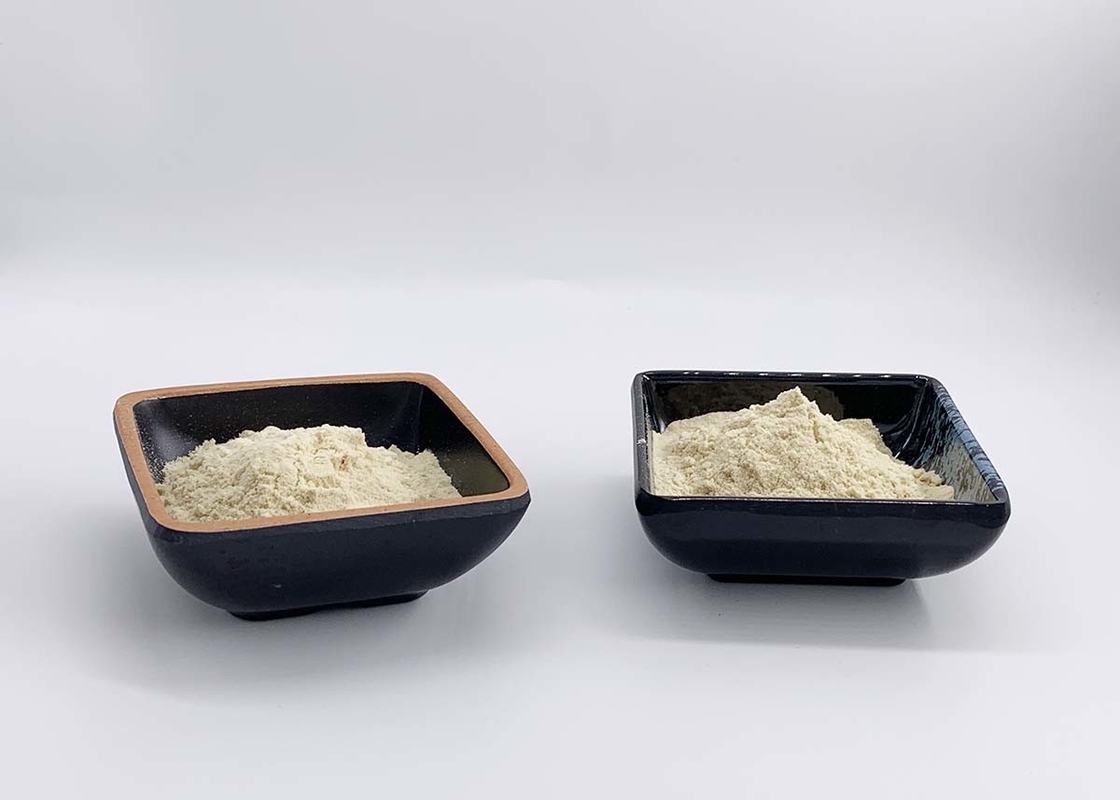 Natural Sweet Orange Juice Concentrate Spray Dried Powder