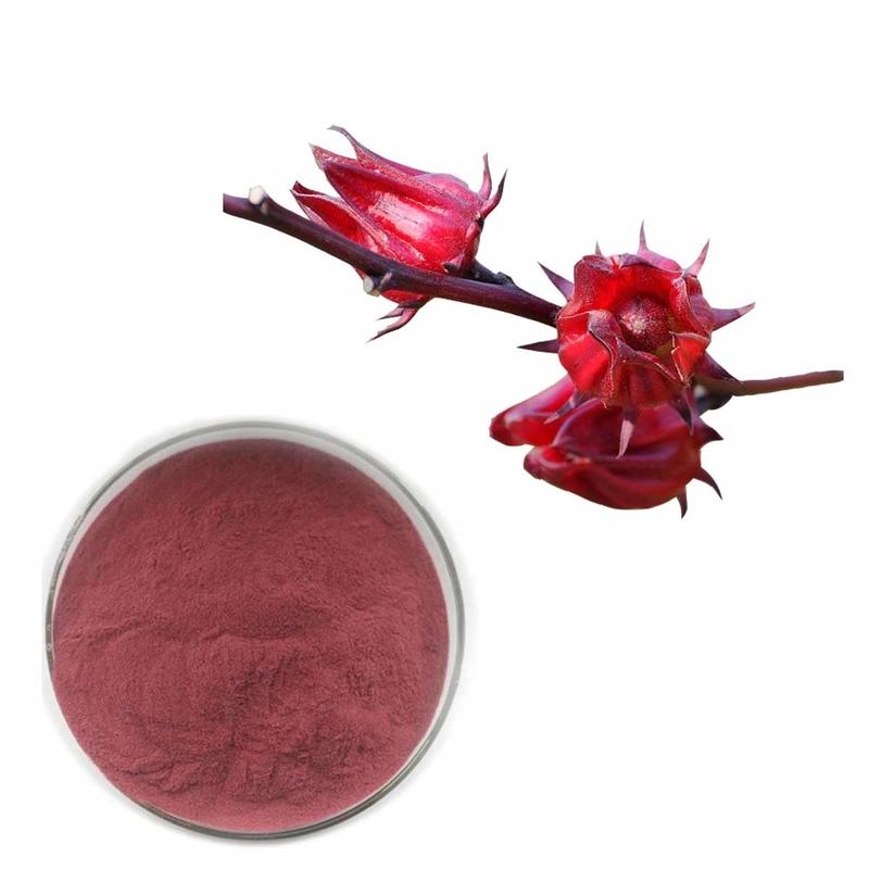 Hibiscus Roselle Flower Extract Powder With 10% Anthocyanidins