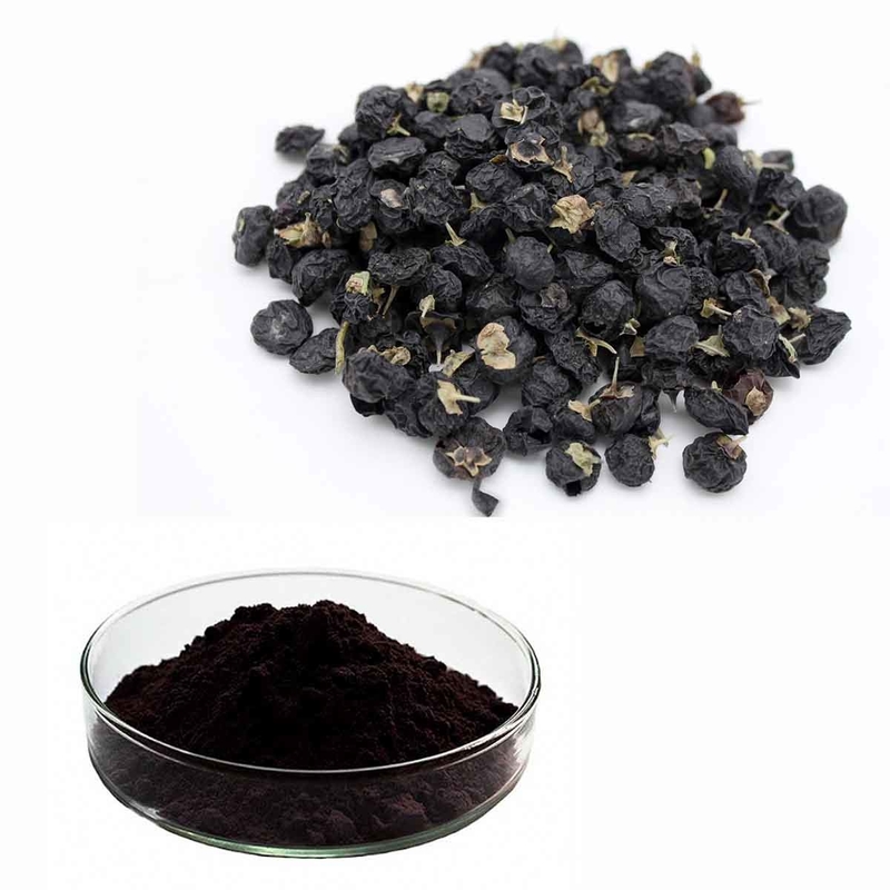 25% Anthocyanidins From Black Goji Wolfberry Extract Powder As Antioxidant