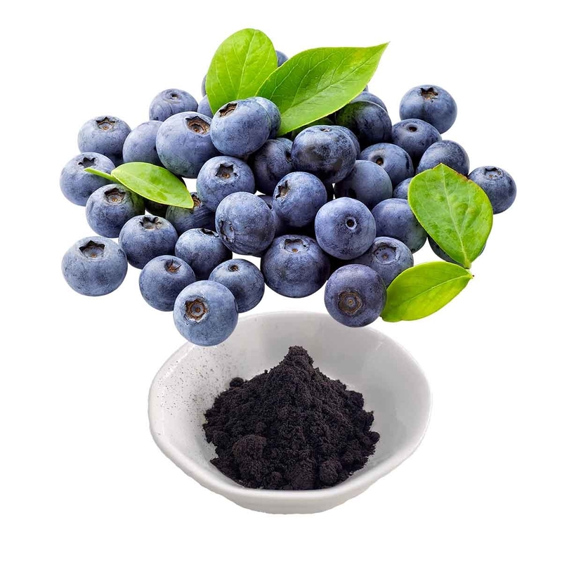 Bilberry Extract Anthocyanidins