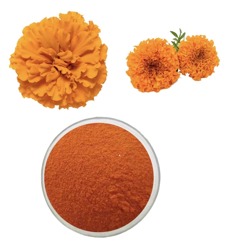 Lutein Beadlets Powder for Tablet Compressing or Capsules