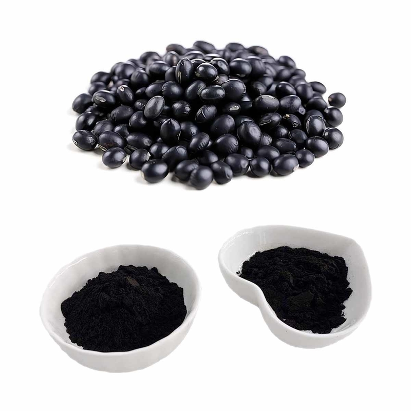 Black Bean Hull Extract Powder With 15% Anthocyanidins